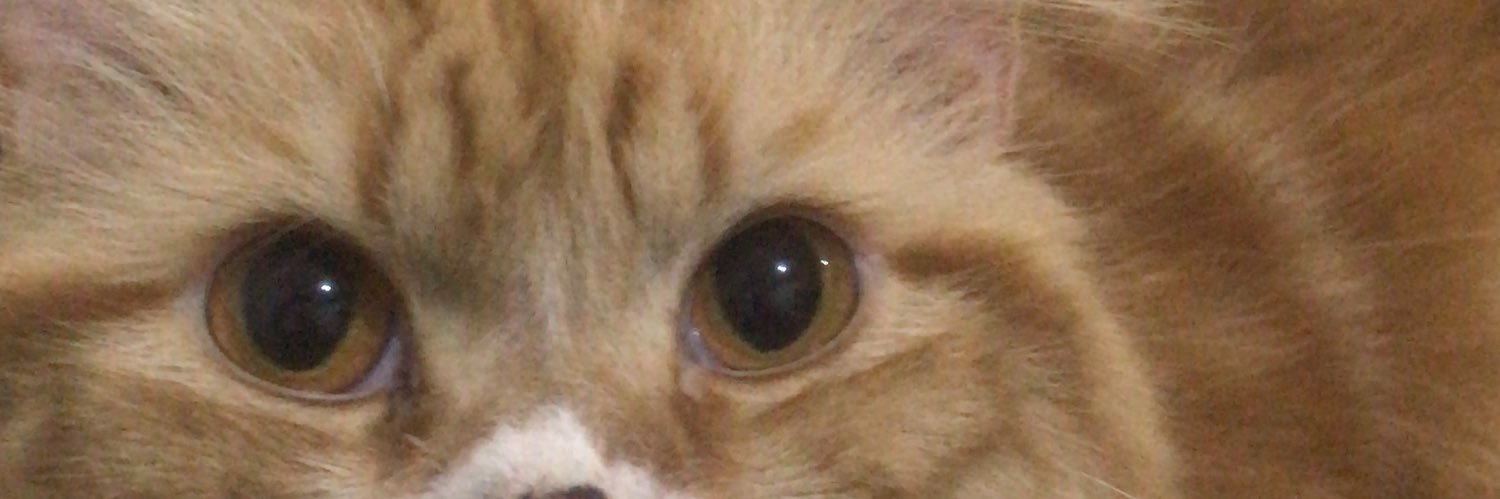 audinadin's profile banner image