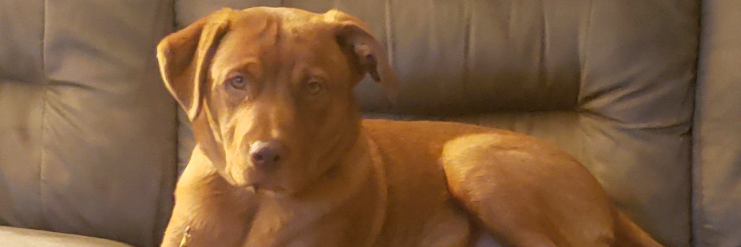 RicRoy80's profile banner image