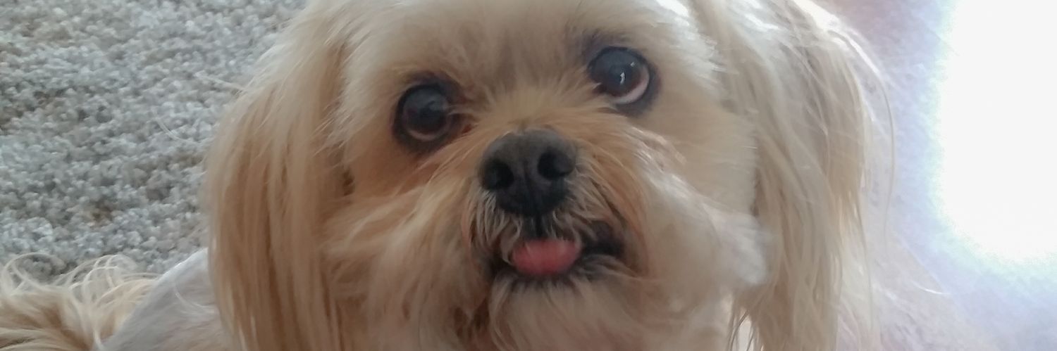 spurkis6's profile banner image