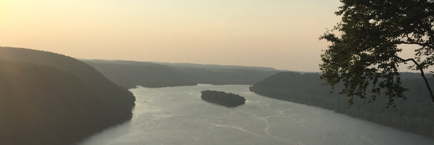 ktantgal's profile banner image