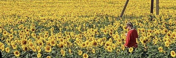 MeSaare's profile banner image