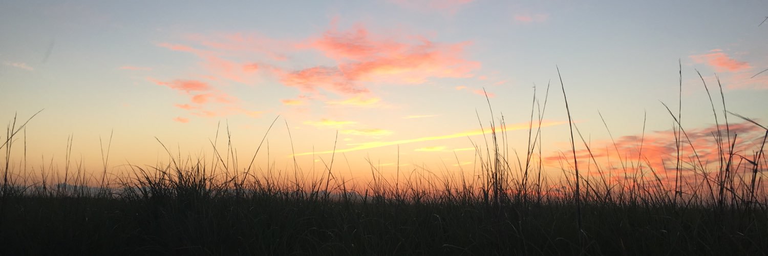 JamesMiller504's profile banner image