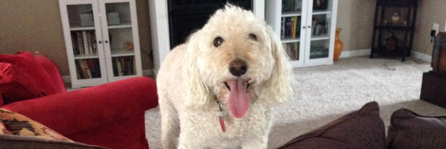 Buster_da_Dawg's profile banner image
