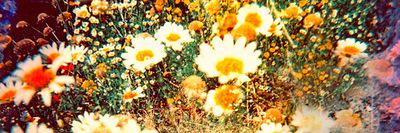 brooke_el's profile banner image