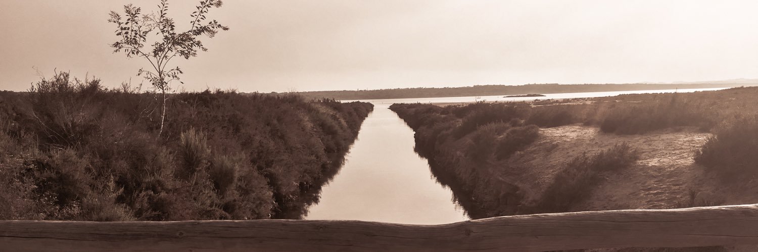 ammwalker's profile banner image