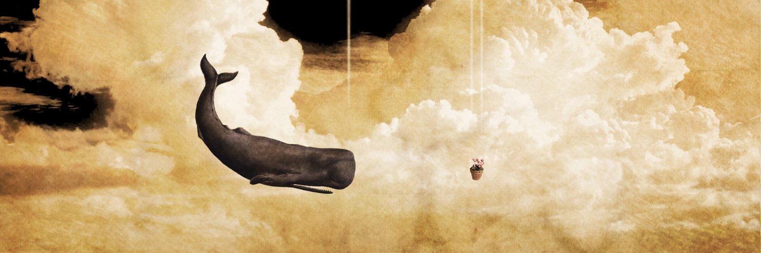 juliocopimentel's profile banner image