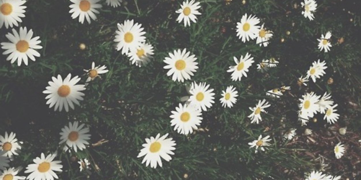 Talisha__'s profile banner image