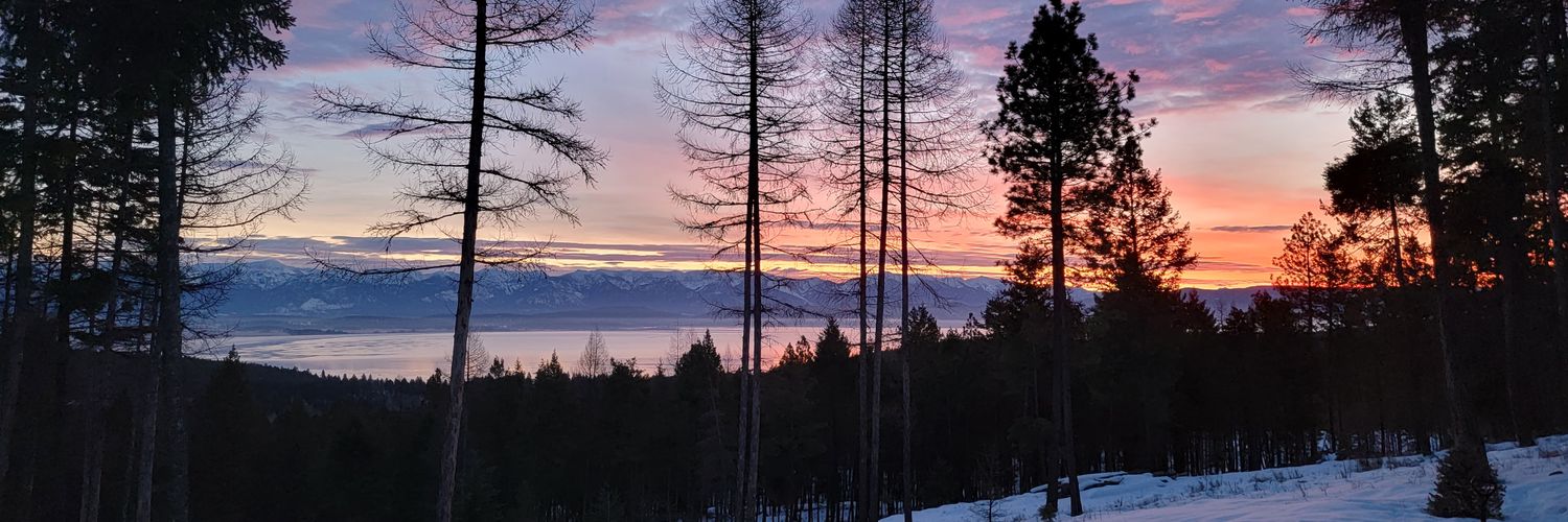 Travis Whidden banner