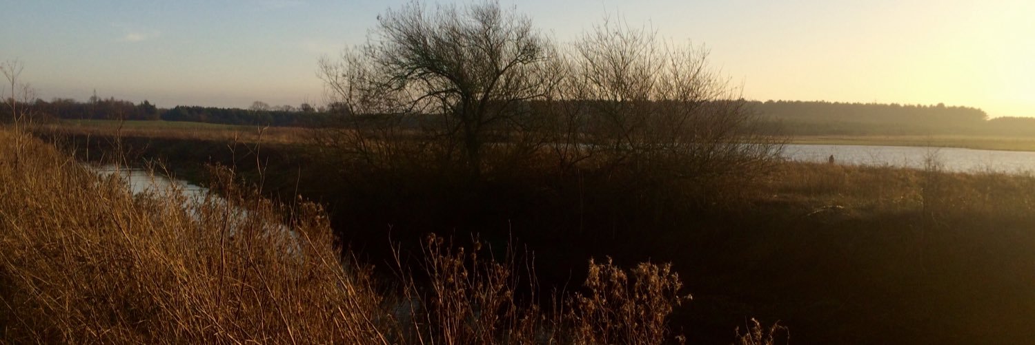 Sharon Richardson banner