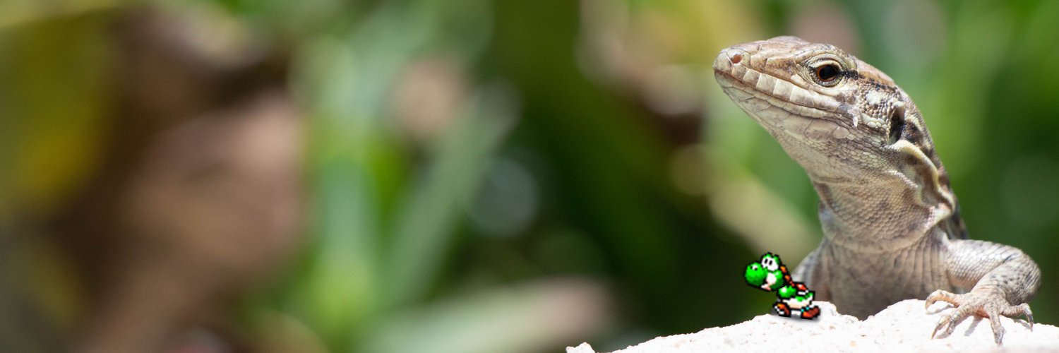chojnac's profile banner image