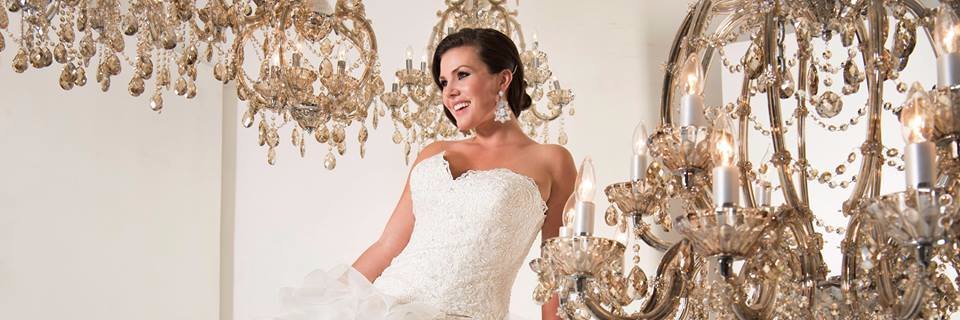 CurvaceousBrida's profile banner image