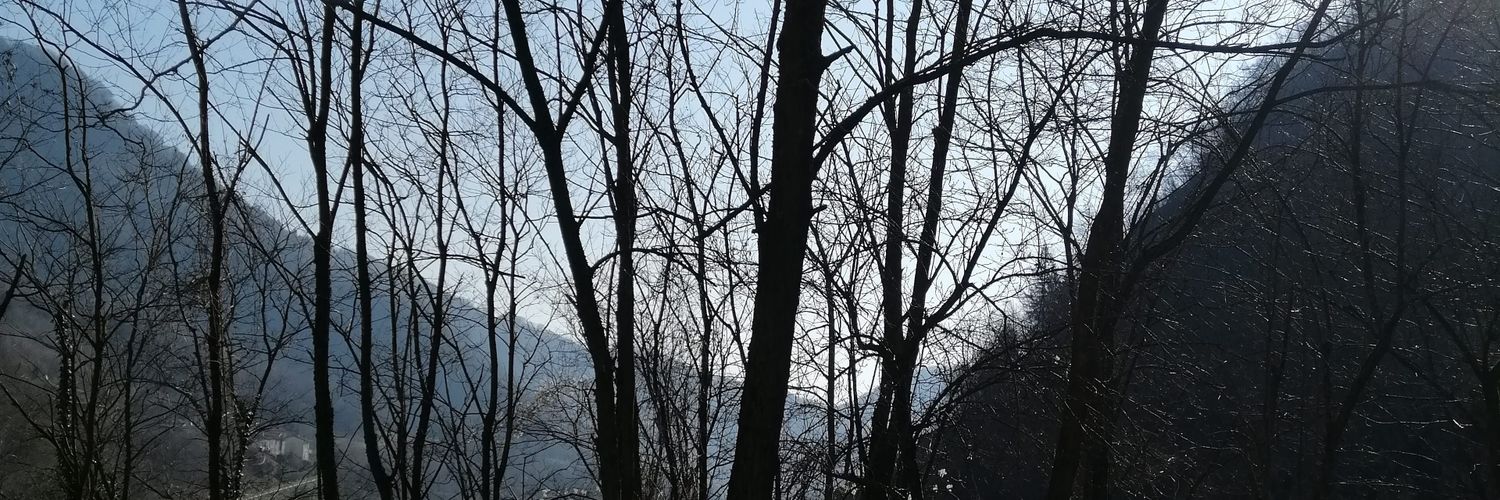 BertonSandy's profile banner image