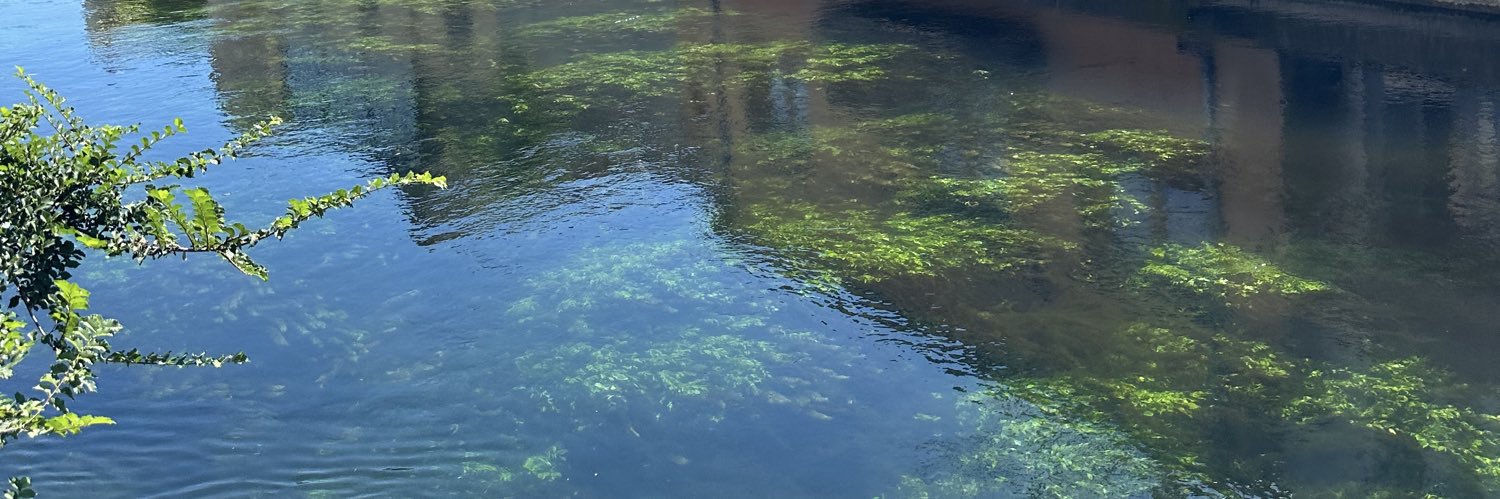 Fanta BÉRÉTÉ banner