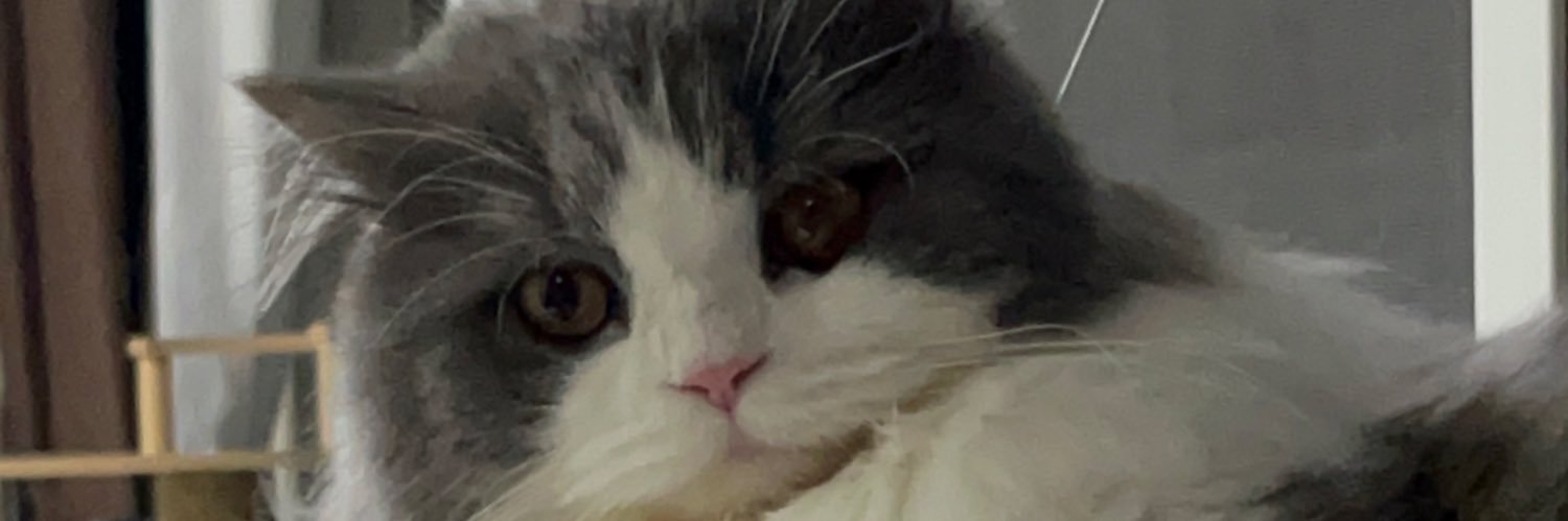 nuinut's profile banner image