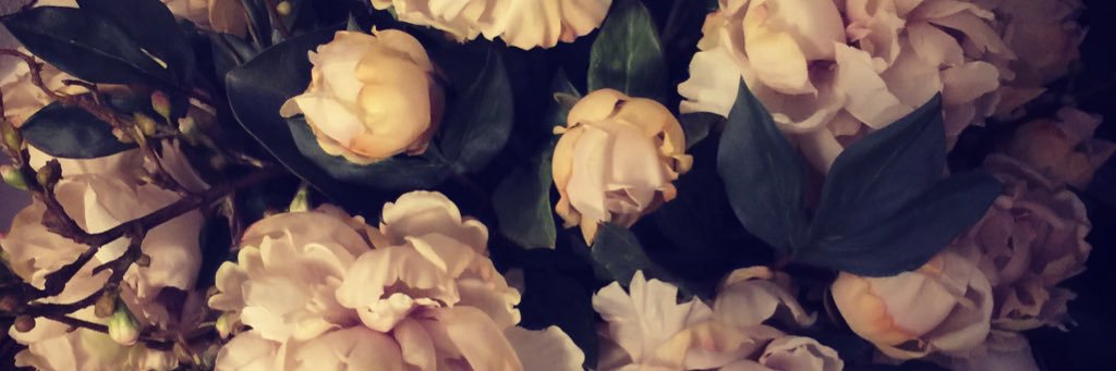 Cynthia Oelking banner