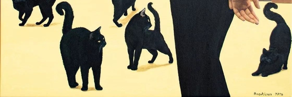 Queenadachii's profile banner image