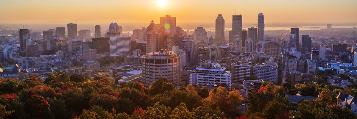 Laura Hallward banner