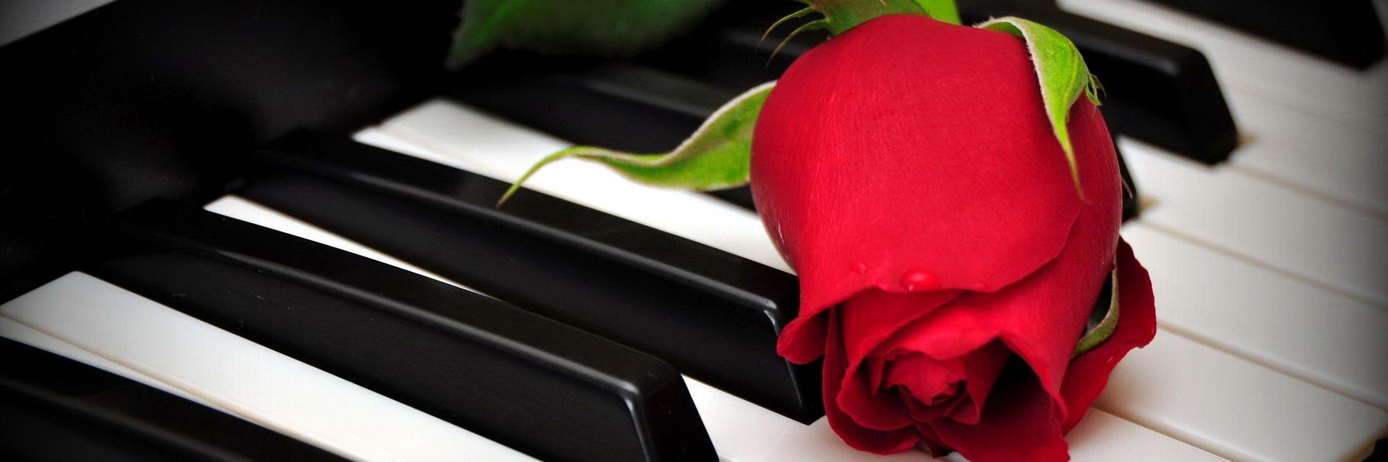 Phantom_po's profile banner image