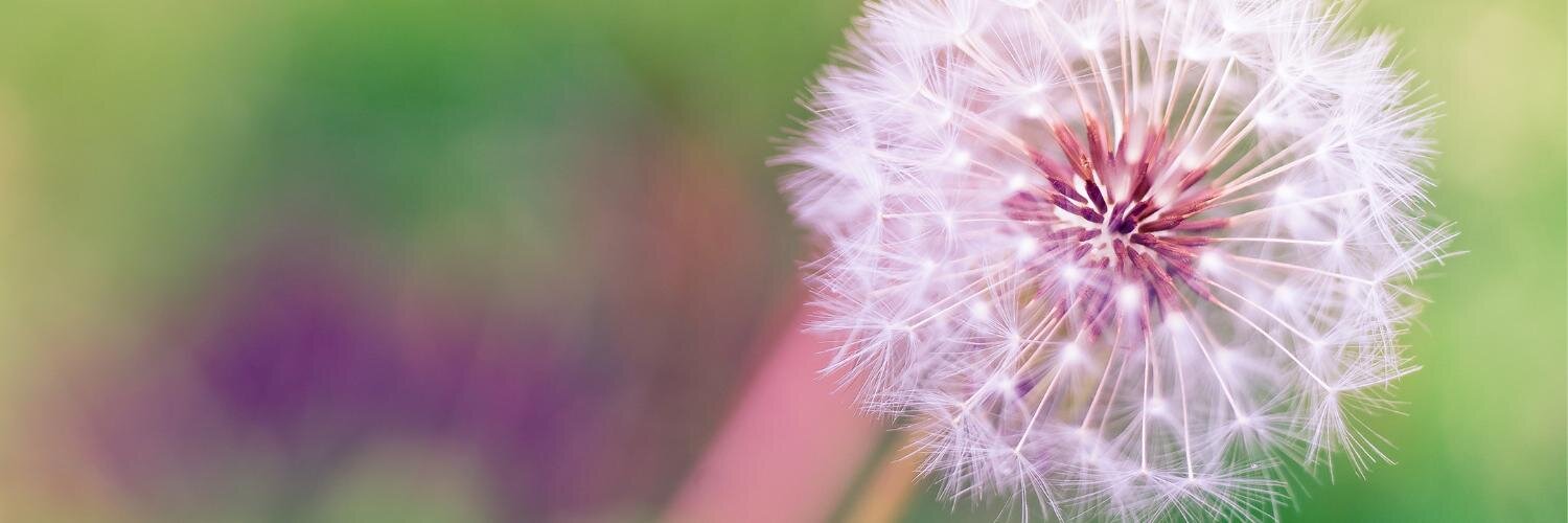 ubshare42's profile banner image