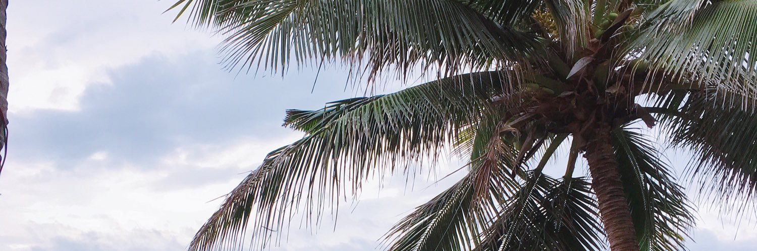 AlexAlfante's profile banner image