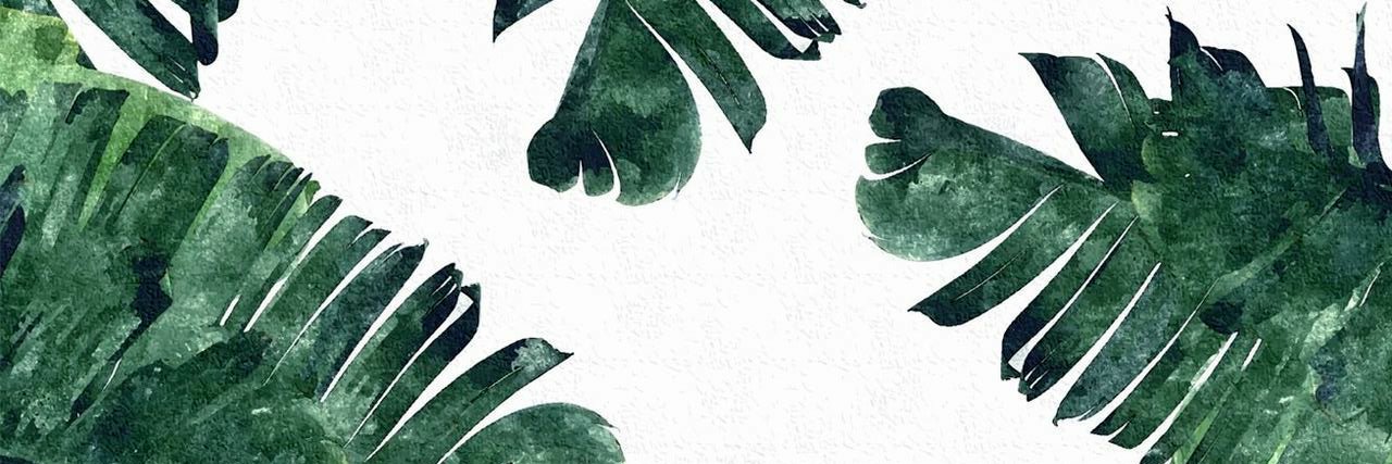 Mashal_A's profile banner image