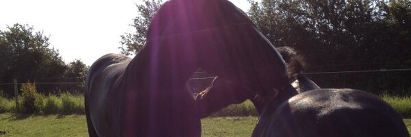 WicksteadFarm Profile Banner