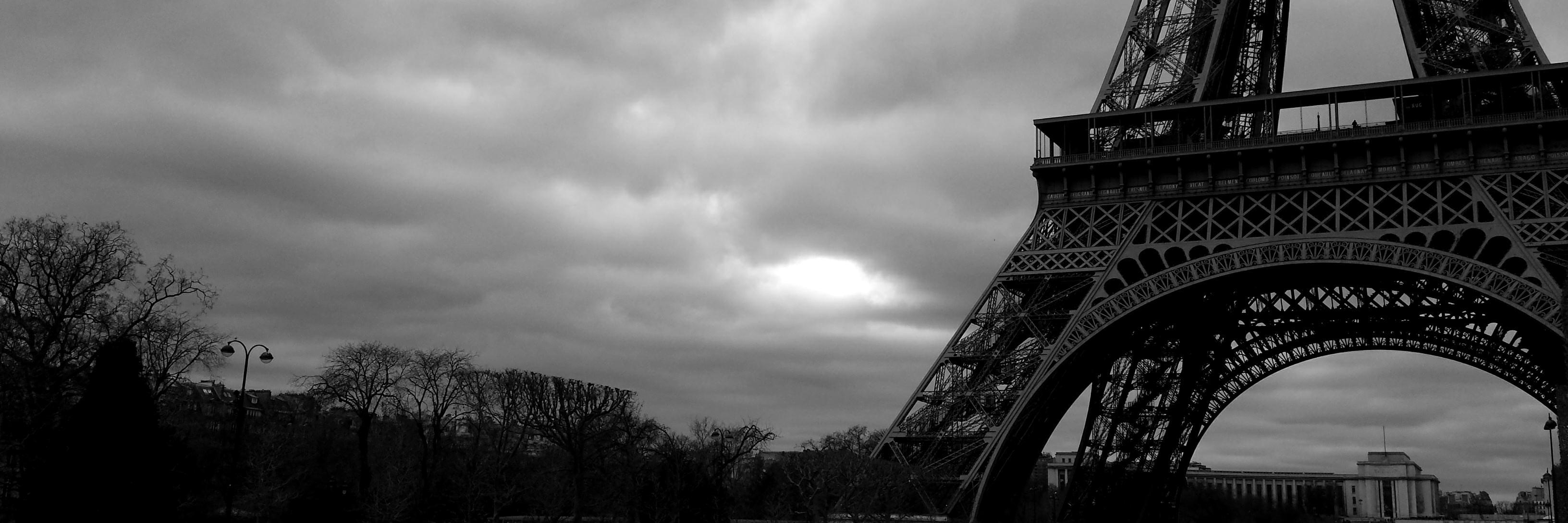 Elaya Morales banner