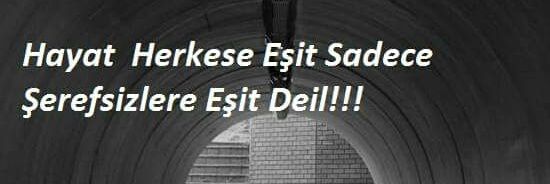 Den_Ge_Siz's profile banner image