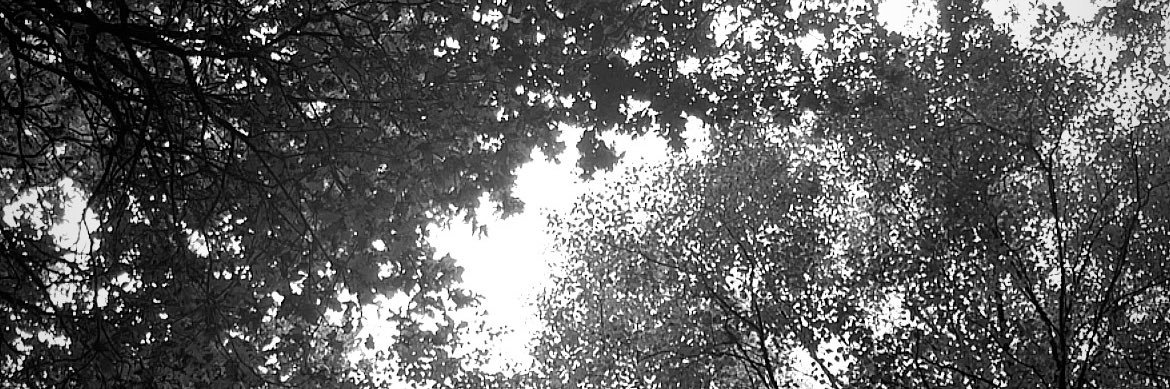 rebe_pc's profile banner image