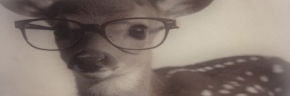 ourobolos's profile banner image