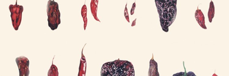lubolland's profile banner image