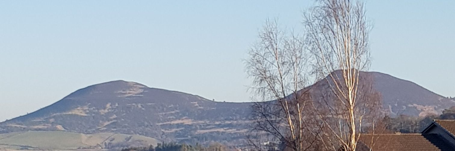 Bordersbird1's profile banner image