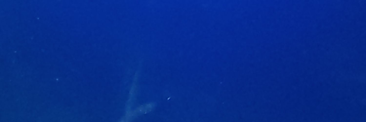 glimglomp's profile banner image