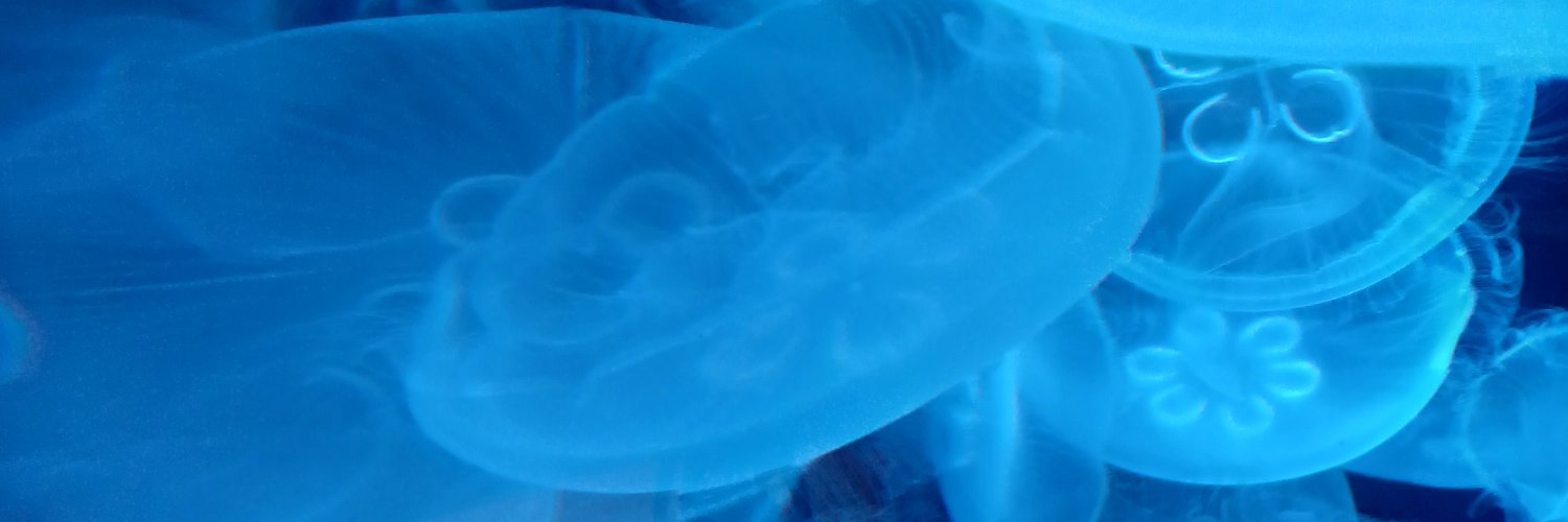 satoshiless's profile banner image