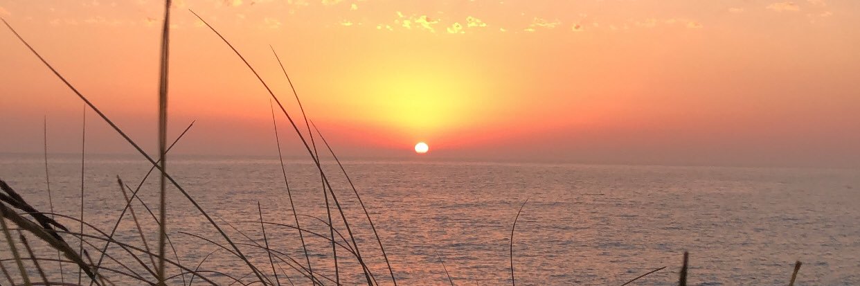 mirandaAndreaP's profile banner image