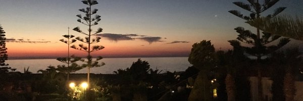 hassel_d Profile Banner