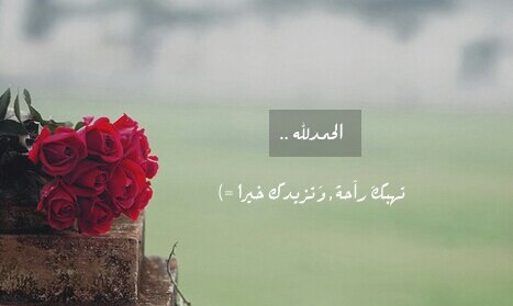 tamimi_96's profile banner image