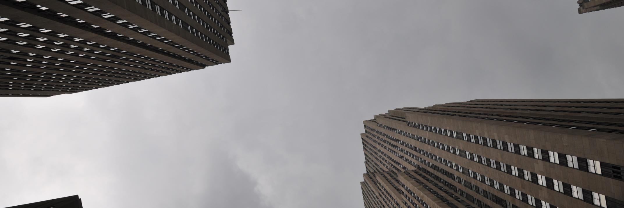 Paula Fikkert banner