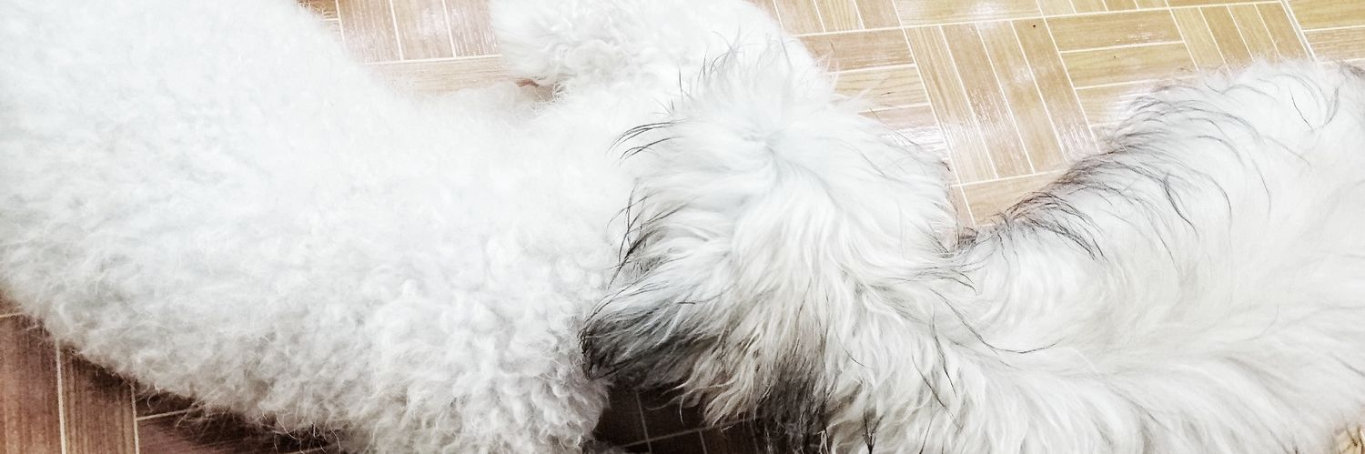 ꯱ׁׅ֒tׁׅꫀׁׅܻ℘hׁׅ֮ 🍭 ☀️🍓🍢 banner