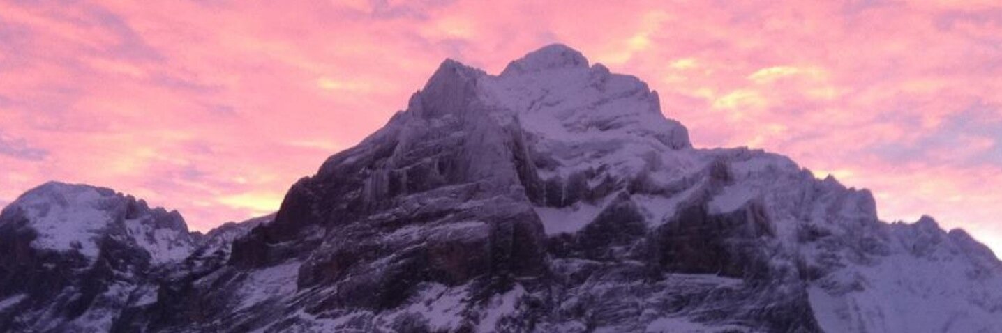 Hans Peter Rubi banner