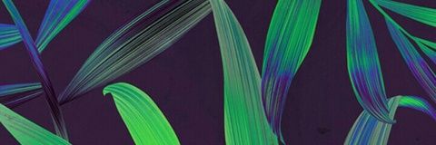 vicky___ykciv's profile banner image
