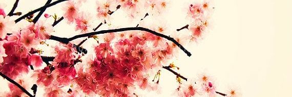 Lilly_1908's profile banner image