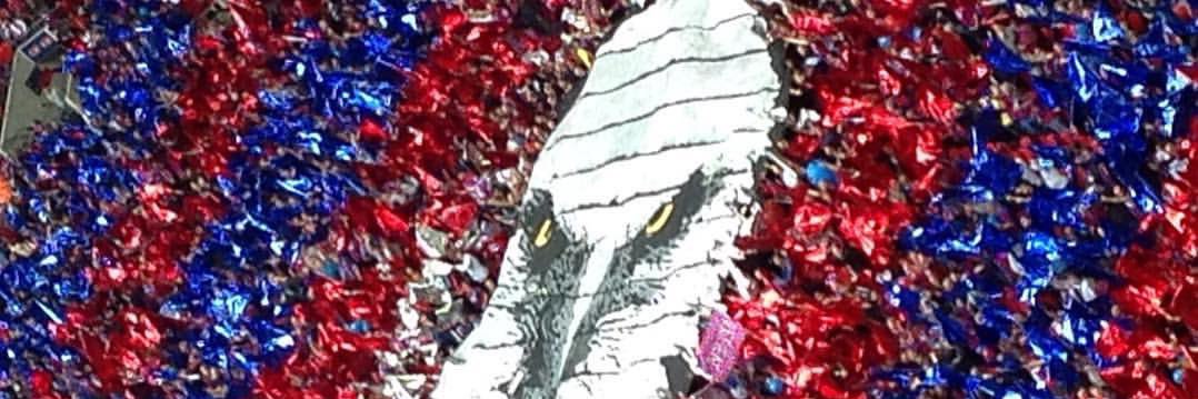 Dan King 🇪🇺 banner