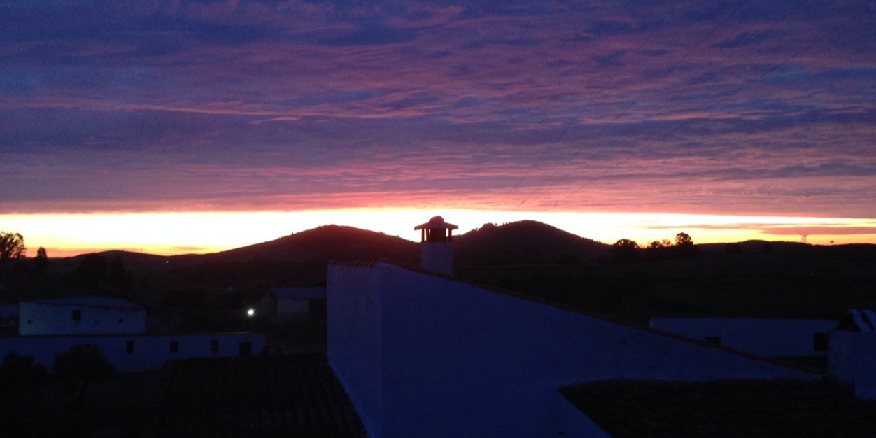 raid 🇵🇸🔻 banner