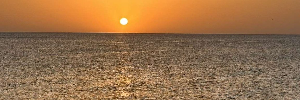 تاج 👑 banner