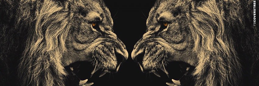 DylanBruce36's profile banner image