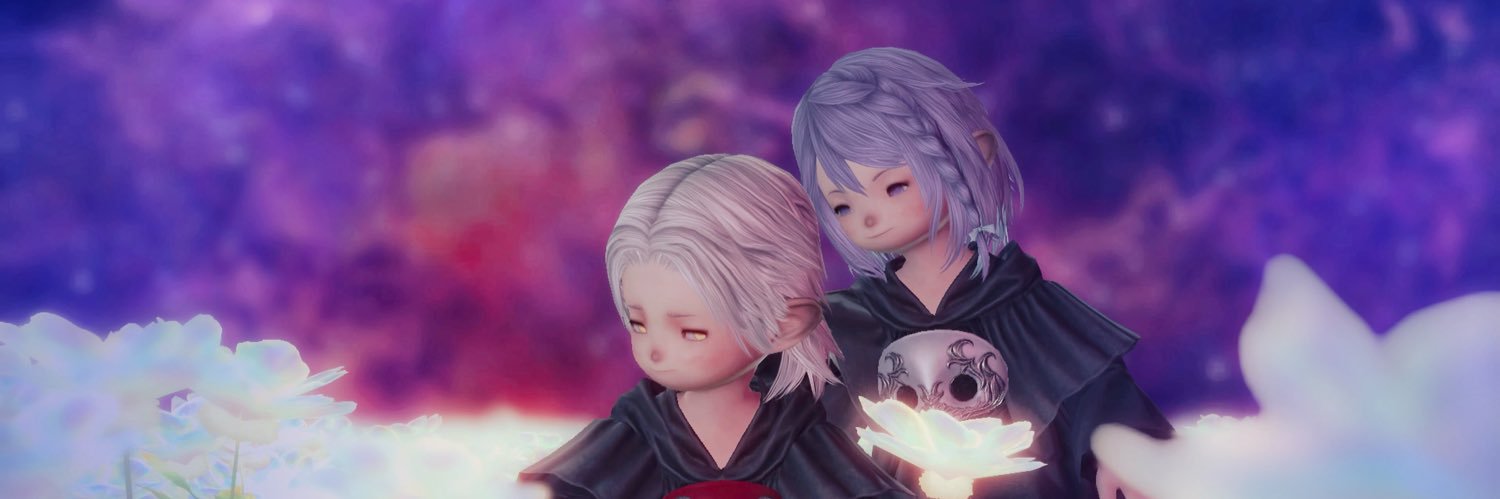lunaccolo's profile banner image