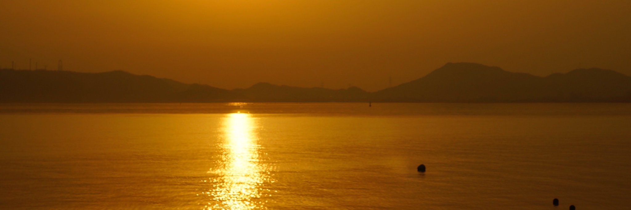 SnO2lZvO9mdXbPO's profile banner image