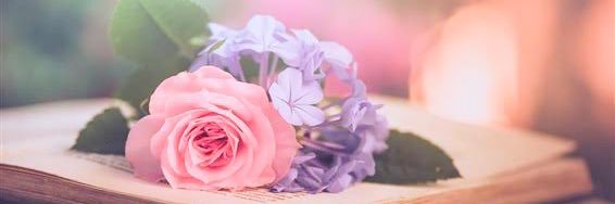 8af_x's profile banner image