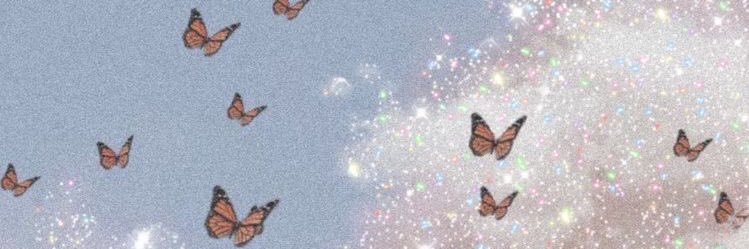 Priv_Cam's profile banner image